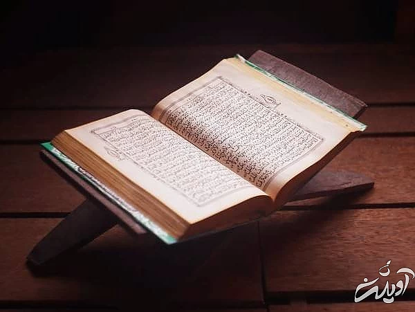 آیاتی از قرآن که درباره جن و انس سخن می گوید جن درقرآن